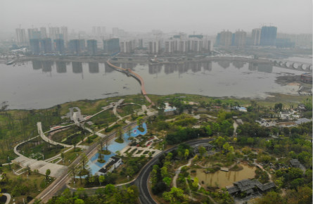 龍圩區開展國土綠化提質三年行動