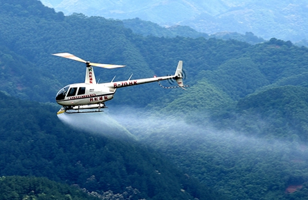 市林業部門使用直升機噴藥防治松材線蟲病
