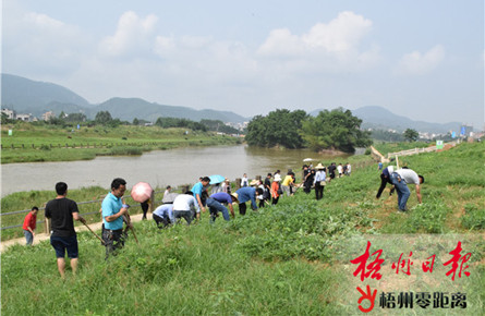 清理農作物保護水源地 