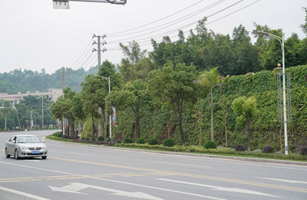 梧州高新區工業大道提升改造工程月底完工