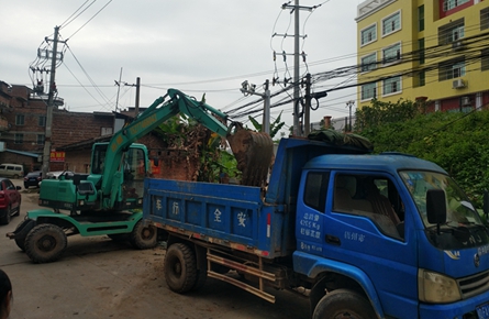 長洲區龍新村多舉措改善村容村貌