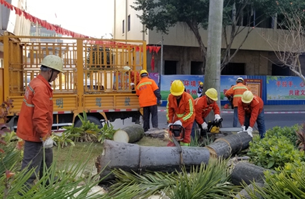 綠化樹木排險演練