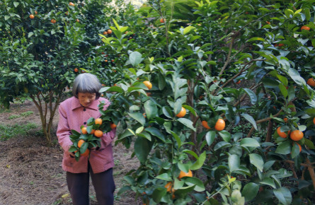 “我以后可以安心睡覺了”