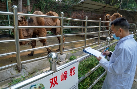 做好動植物養護工作