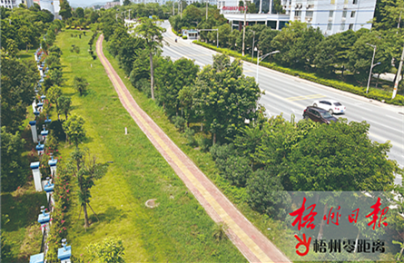 工業大道添綠意