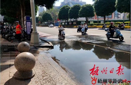 兩輪車道反復現污水