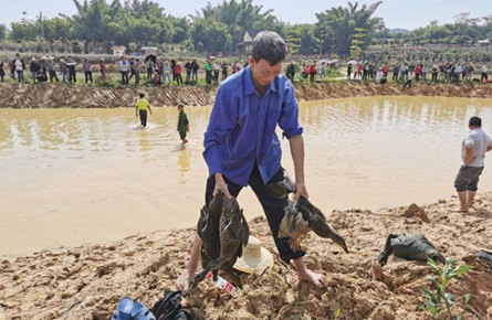 夏郢鎮鎮安村當天接待游客約3000人次