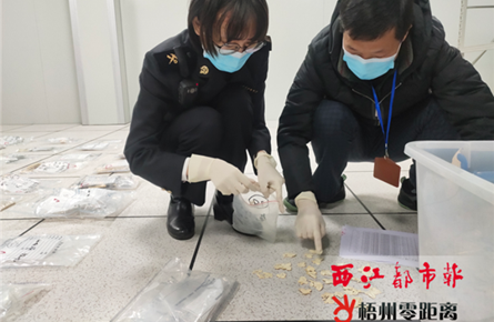 梧州海關向林業部門移交一批涉案象牙制品