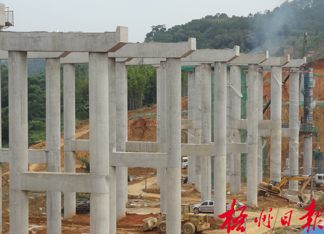 10月9日，在梧柳高速公路倒水互通施工現場，施工單位正加快推進互通主線一號橋及互通C匝道、D匝道的樁柱（基）混凝土的澆筑作業。　　　　　　　　　黃東榮 攝