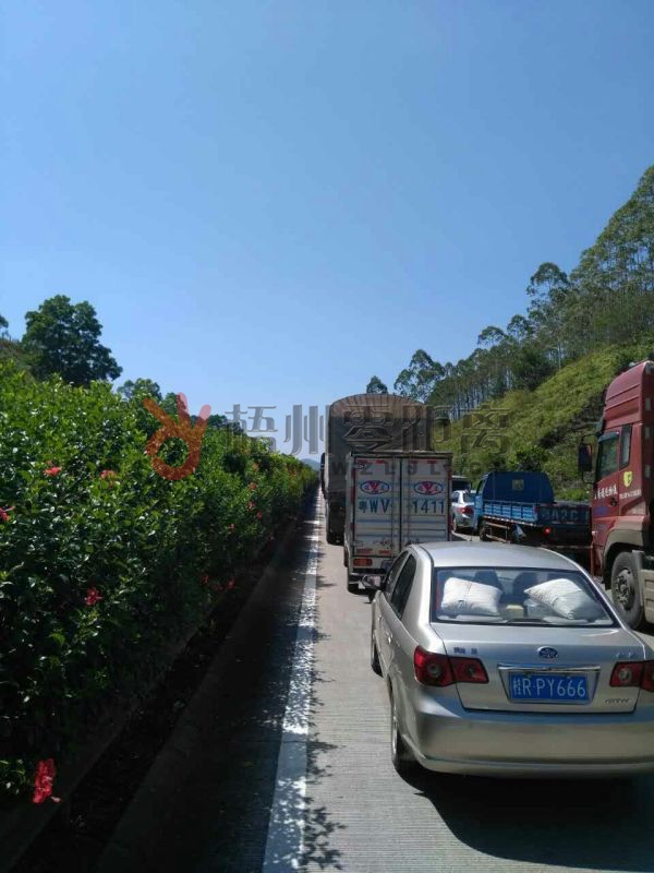 事故引起高速路上堵車。 網友“老-男-孩”提供